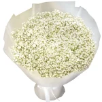 Букет из 101 белой гипсофилы