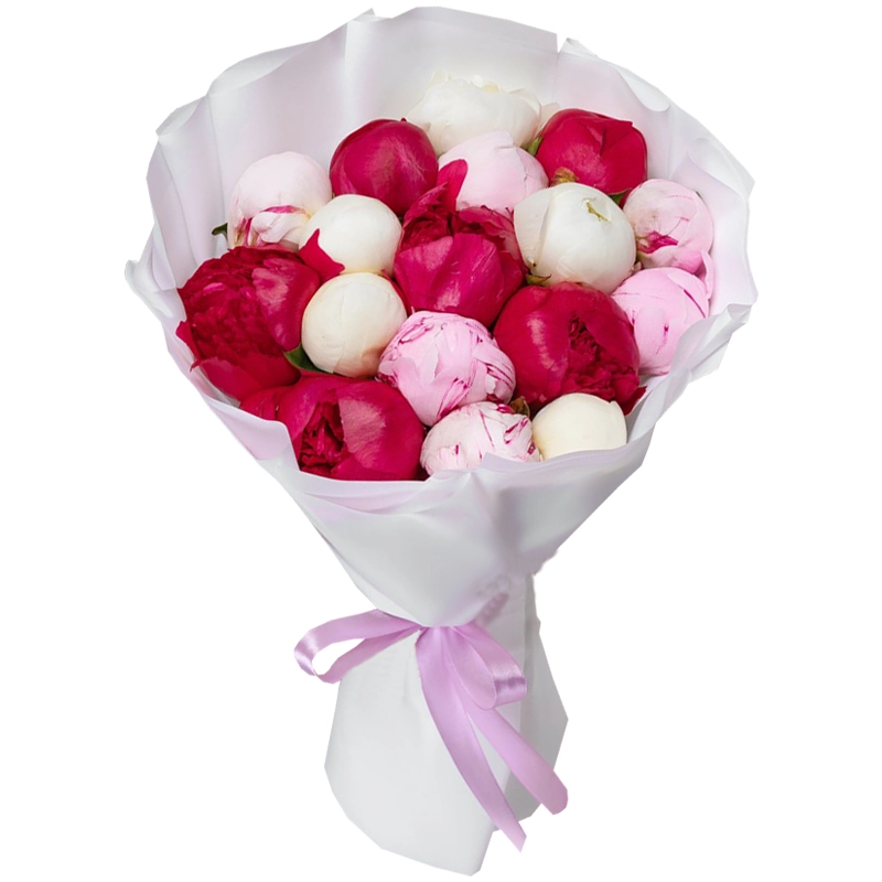 Букет из 17 пионов микс